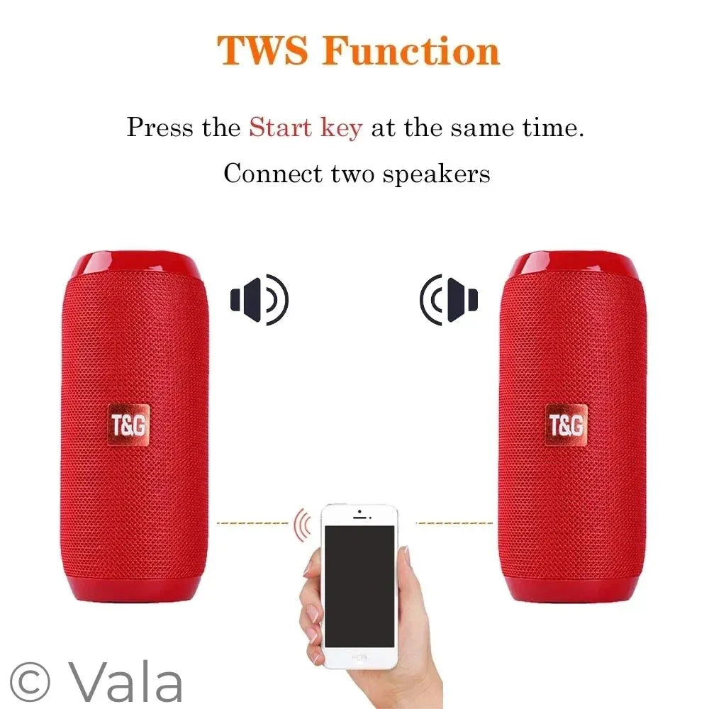 Portable Bluetooth Speaker – 360° Stereo, FM Radio, TWS & LED Lights